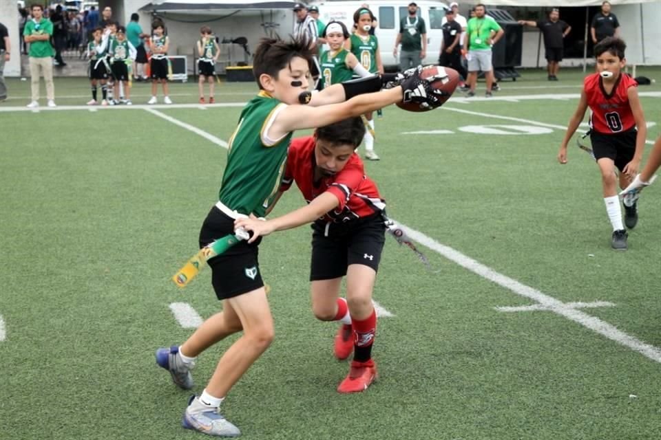 Los corceles ganaron cuatro finales, de siete, en la temporada de Flag Football de la MFL.