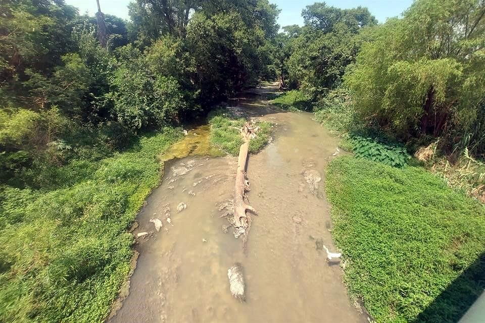 Autoridades de Guadalupe confirmaron que el problema detectado en San Sebastián se debe a fallas en la red de drenaje sanitario, que está a cargo de Agua y Drenaje.