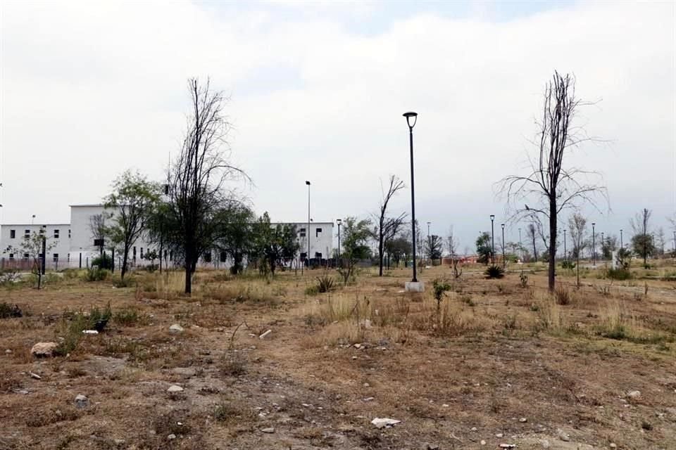 El Parque Libertad no ha florecido desde que fue inaugurado hace tres años.