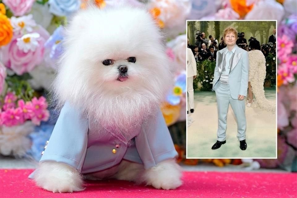 Un perro imitando al cantante Ed Sheeran asiste al desfile de moda Pet Gala en el AKC Museum of The Dog.