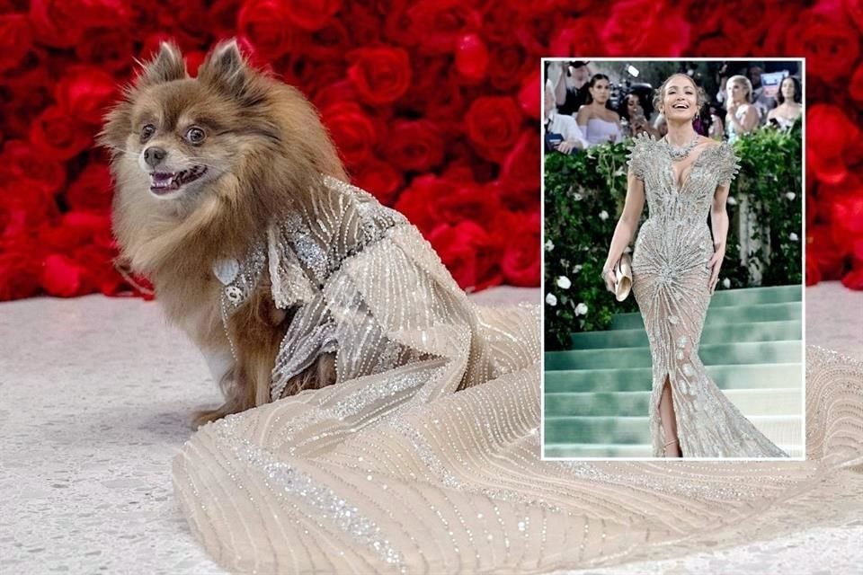 Daffodil, un pomerania vestido como la cantante y actriz estadounidense Jennifer López, posa durante la 'The Pet Gala'.