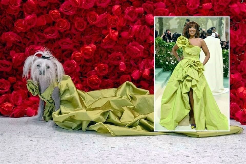 Suki, una crestada china vestida como Gayle King, posa durante la 'Gala de mascotas' en el Museo del perro AKC en la ciudad de Nueva York.