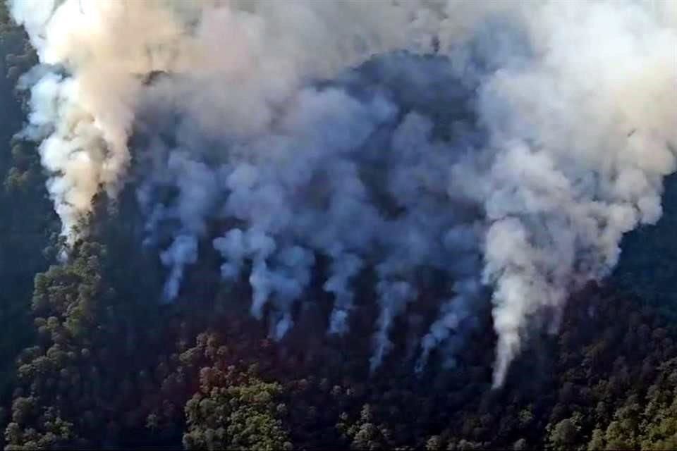 El fuego fue reportado cerca de Ciénega de González, pero se descartó amenazas a zonas pobladas.