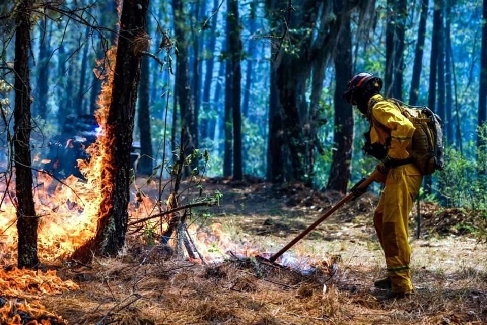 El incendio forestal en la Comunidad 'Los Cuartones', cerca de Ciénega de González, inició el jueves cerca de las 7:00 horas.