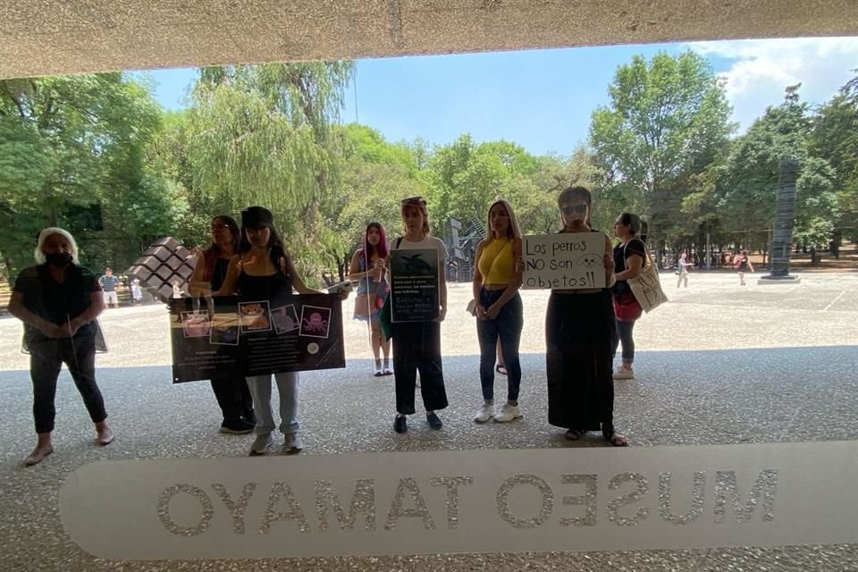 Un grupo de activistas protestó afuera del Museo Tamayo en contra de 'Casts', performance con perros que simulan estar muertos.