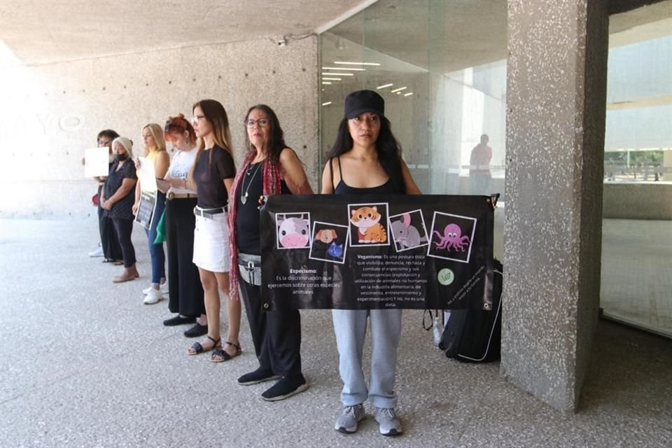 La Ley de Bienestar Animal de la Ciudad de México prohibe el uso de animales para espectáculos públicos o privados.