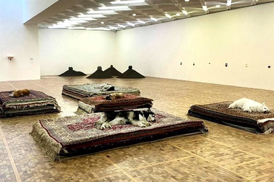 Aspecto del performance Tragedy en el Museo Tamayo, de la artista Nina Beier, donde perros simulan estar muertos.
