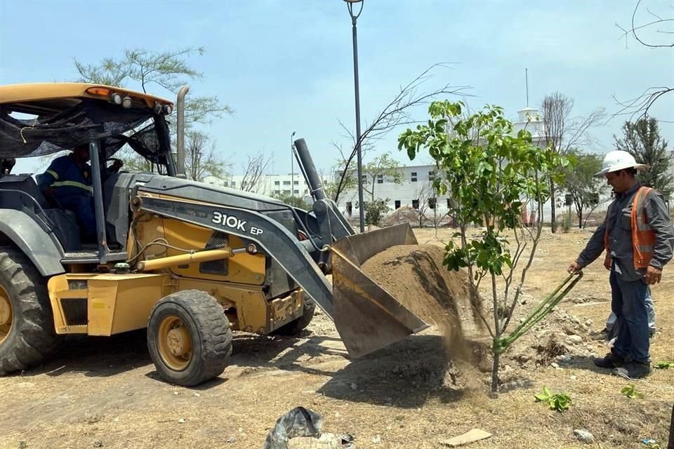 La Secretaría de Medio Ambiente inició con la plantación de árboles en el Parque Libertad.