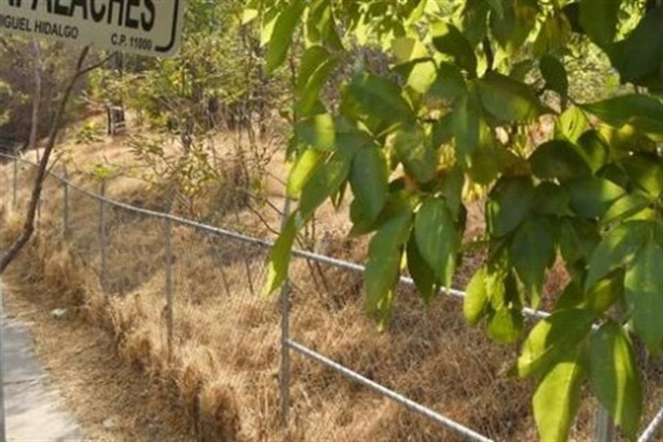 Notifican a Congreso por falta de cambio de uso de suelo en Montes Apalaches.