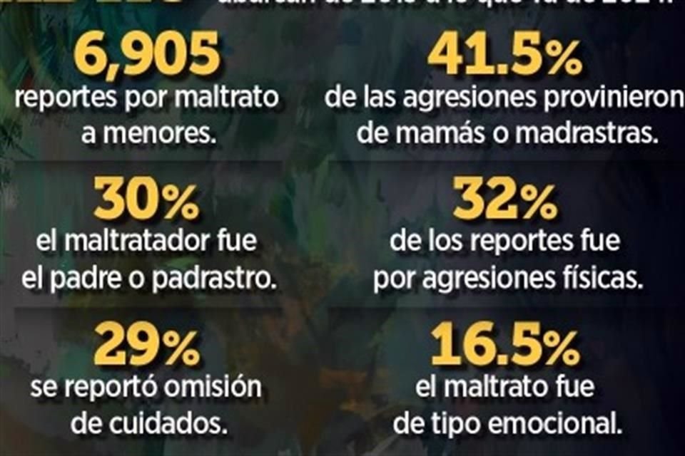 Las cifras del Consejo Ciudadano abarcan de 2019 a lo que va del 2024.