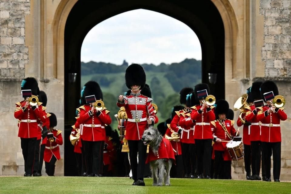 Seamus, el perro irlandés acompañó a la guardia durante la ceremonia.