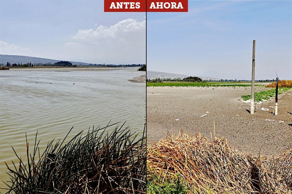 Pese a que en enero fue decretado como Área Natural Protegida, la desecación en el Lago Tláhuac-Xico no cesa.