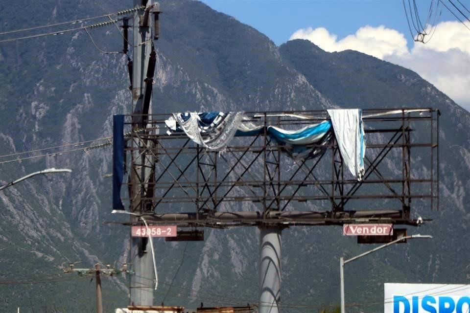 Pidieron a las autoridades retirarlos antes de que puedan generar un accidente en la zona.