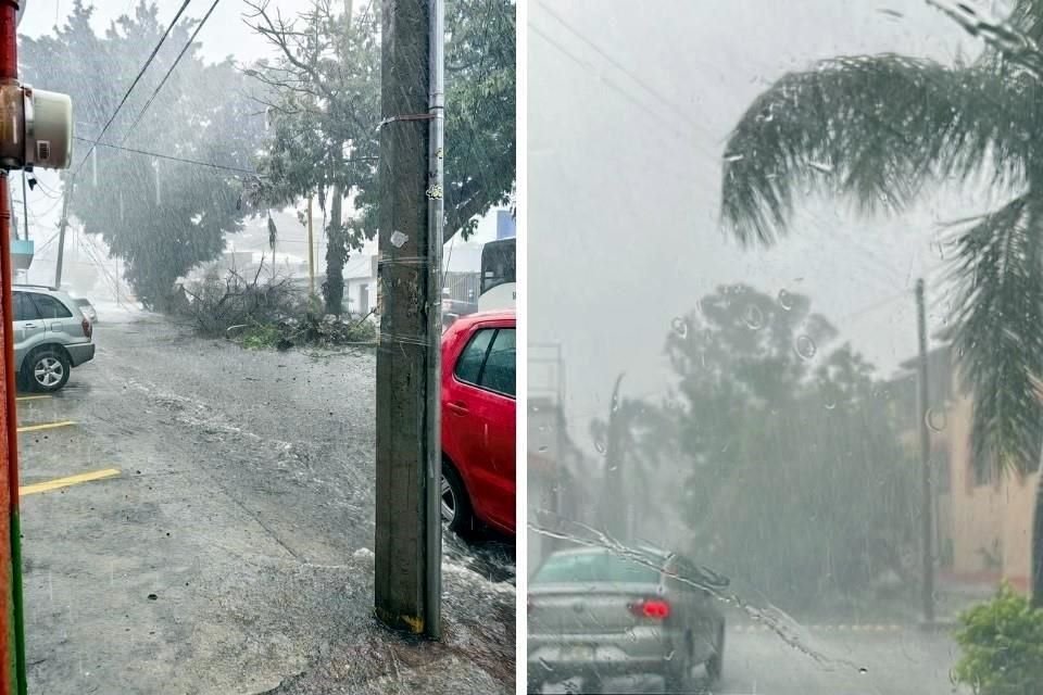 Inundaciones, caída de árboles, vehículos varados y cortes de energía, entre las afectaciones en Oaxaca por las lluvias de este lunes.