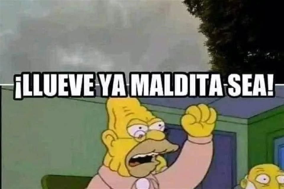 El paso de la tormenta 'Alberto' por NL además de lluvia trajo consigo una ola de memes.