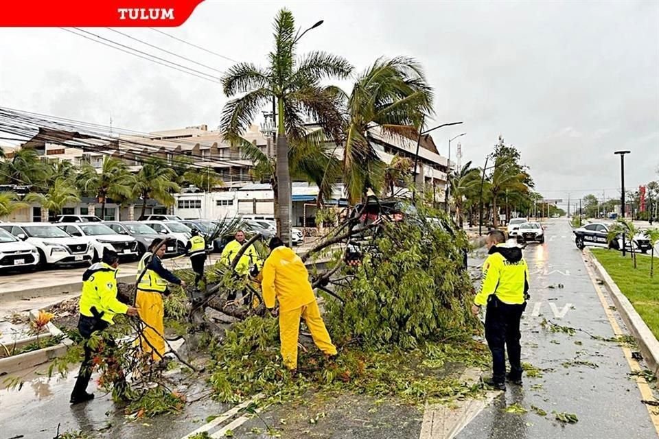 Tras el paso ayer de 'Beryl', cuadrillas de servicios públicos empezaron a hacer limpieza.
