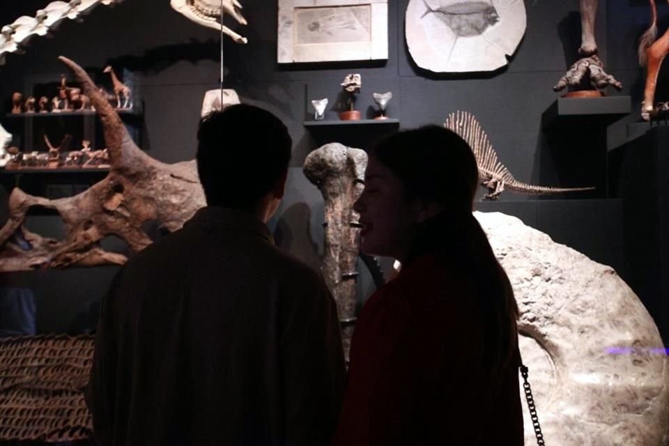 Jóvenes tuvieron lo oportunidad de ver los fósiles prehistóricos expuestos en La Milarca.