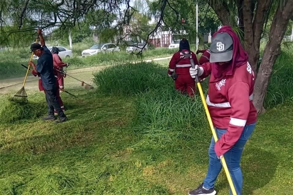   Las cuadrillas en Escobedo inicaron ayer con trabajos  de limpieza en parques públicos. 