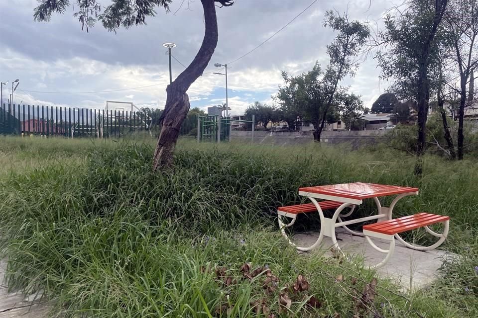 Afirmaron que aunque regularmente realizan trabajos de deshierbe, ahora intensificarán los operativos.