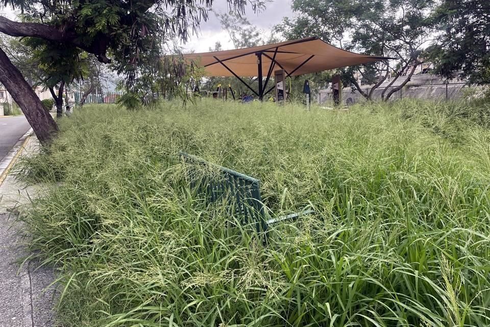 Afirmaron que aunque regularmente realizan trabajos de deshierbe, ahora intensificarán los operativos.