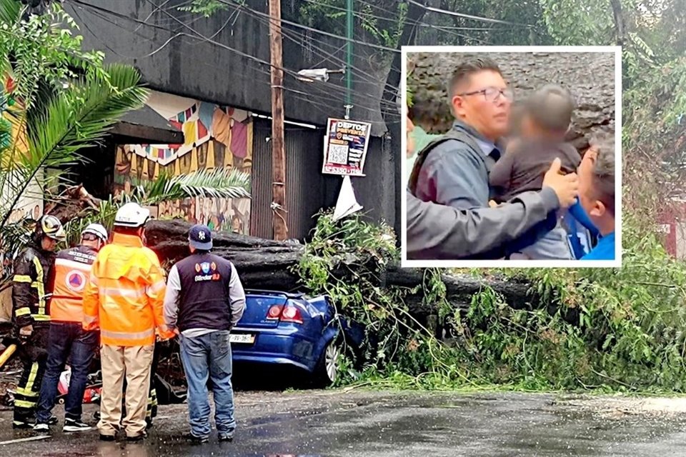 Una mujer murió, mientras que su bebé de un año sobrevivió, tras la caída de un árbol de 20 metros provocada por lluvia en Colonia Nápoles.