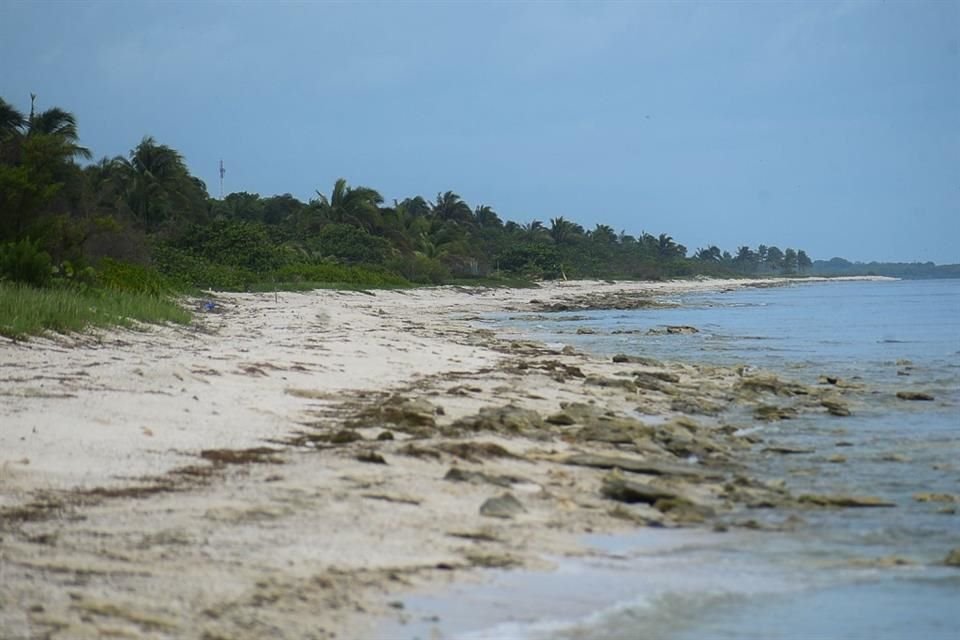 Luego de revelarse que Alejandro Moreno posee una playa de más de 30 hectáreas en Campeche, priistas arremetieron contra líder del tricolor.