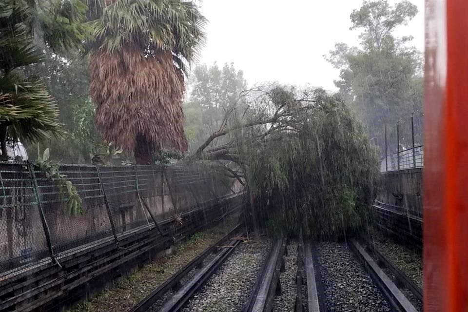 Servicios de emergencia trabajan en el retiro de un árbol que quedo en vías de la Línea 5 del Metro.