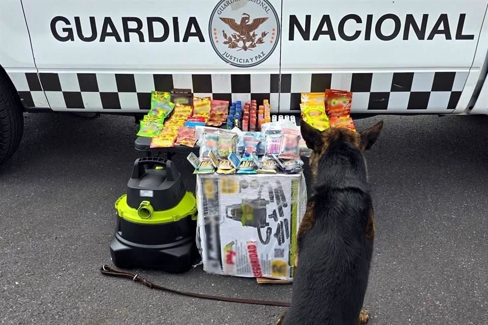 Al realizar la revisión preventiva en el área de carga, el ejemplar canino se interesó por una caja de cartón que indicaba transportar una aspiradora procedente de Tijuana, Baja California.