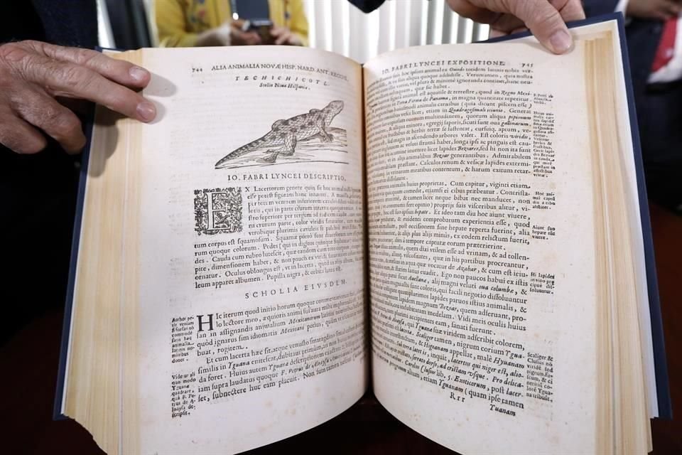 El 'Rerum Medicarum Novae Hispaniae Thesaurus' fue escrito por Francisco Hernández de Toledo, 'Protomédico General de Todas las Indias, Islas y Tierra Firme del Mar Océano'.