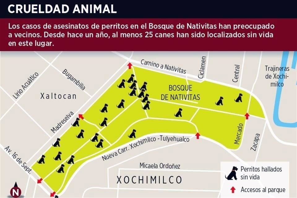 Los casos de asesinatos de perritos en el Bosque de Nativitas han preocupado a vecinos. Desde hace un año, al menos 25 canes han sido localizados sin vida.