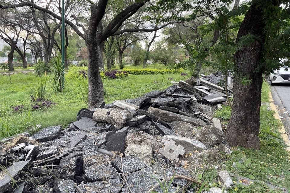 Vecinos señalan que el Municipio regio tiene abandonado el parque.