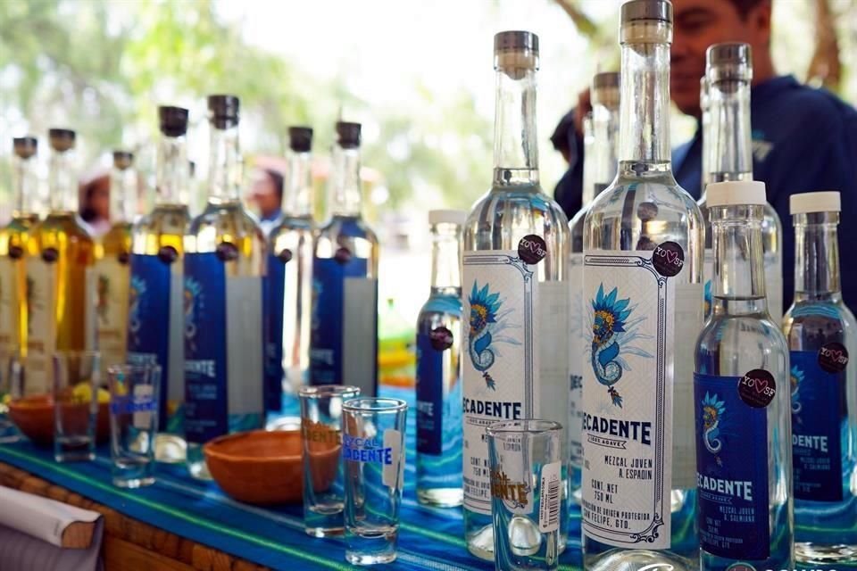 Ocampo, Guanajuato fue la sede de la segunda edición del Festival de Vino, Mezcal y Escamoles con 30 expositores de estos productos.