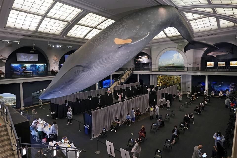 Personas descansan después de recibir la vacuna contra Covid-19 en el Museo de Historia Natural de la ciudad de Nueva York.