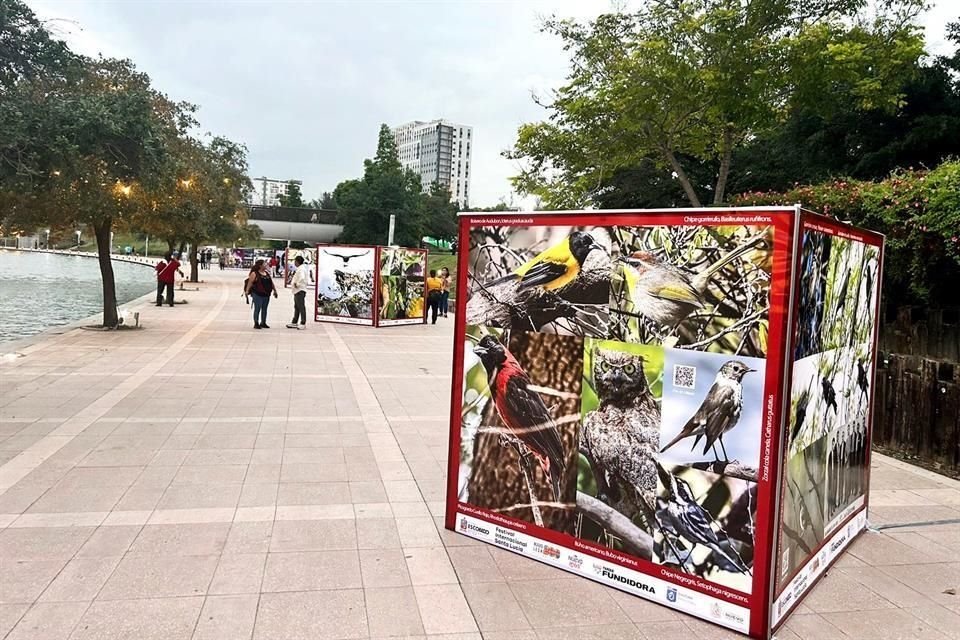 La muestra se encuentra a un costado del Paseo Santa Lucia y está integrada por 160 fotografías de Carlos Rodríguez