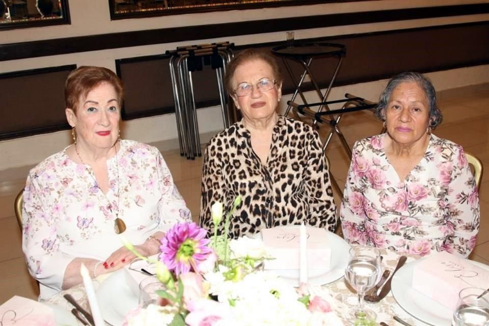 Aracely Elizondo Villarreal,Olga Rodríguez de Elizondo, Graciela Maldonado