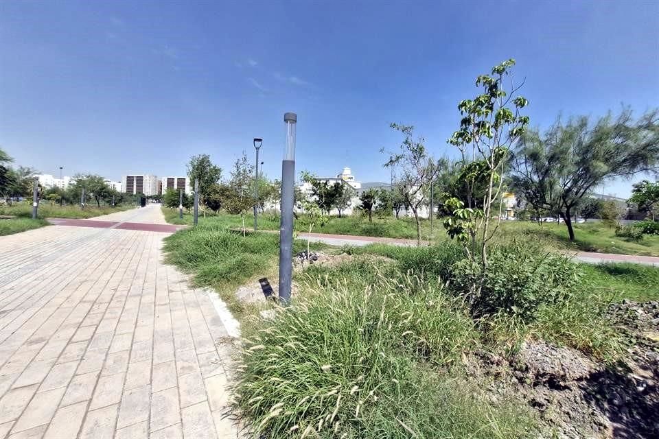 La Plaza Libertad luce con la maleza crecida y en el abandono.