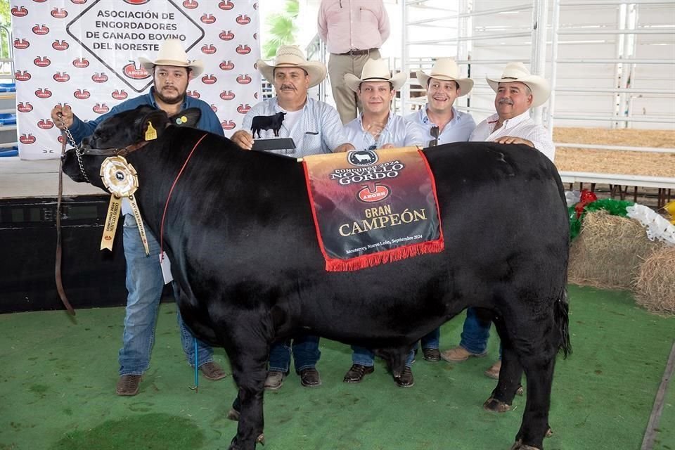 Ejemplar ganador del premio mayor, Gran Campeón, del Concurso Novillo Gordo Noreste 2024.