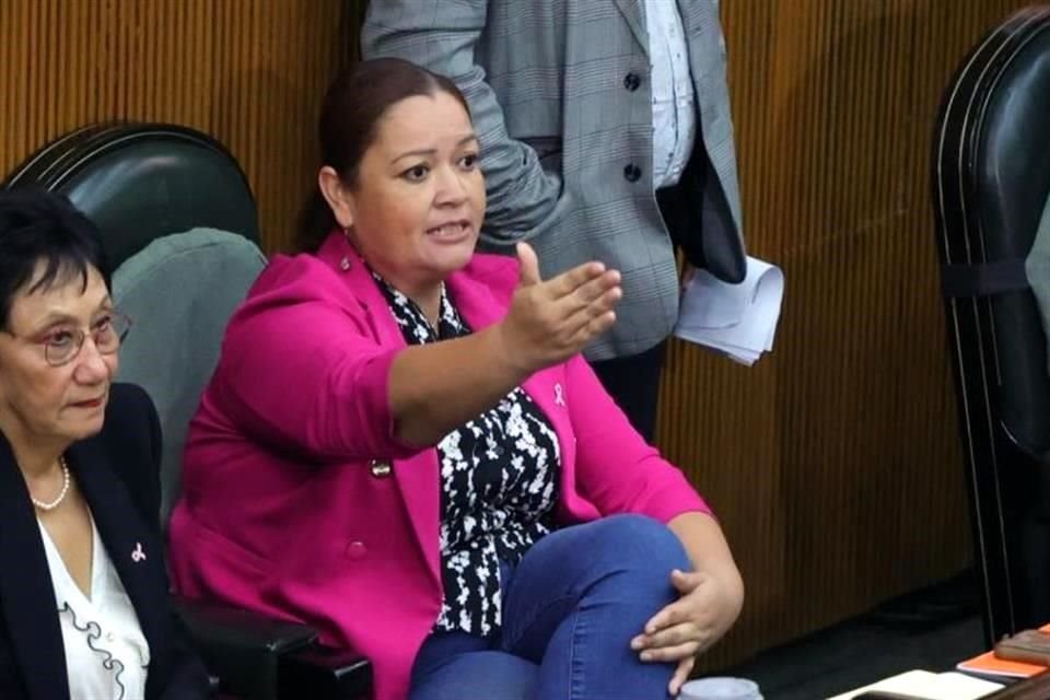 La Diputada de Movimiento Ciudadano, Rocío Montalvo.