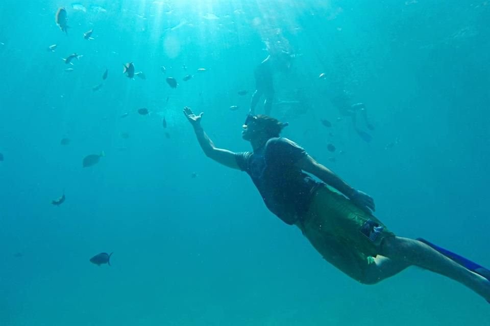 Entre las actividades que ofrece están la pesca deportiva, el buceo, el esnorquel y, en temporada, el avistamiento de ballenas.