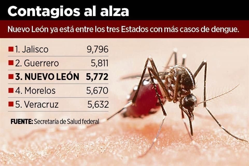 Nuevo León ya está entre los tres Estados con más casos de dengue a nivel nacional.