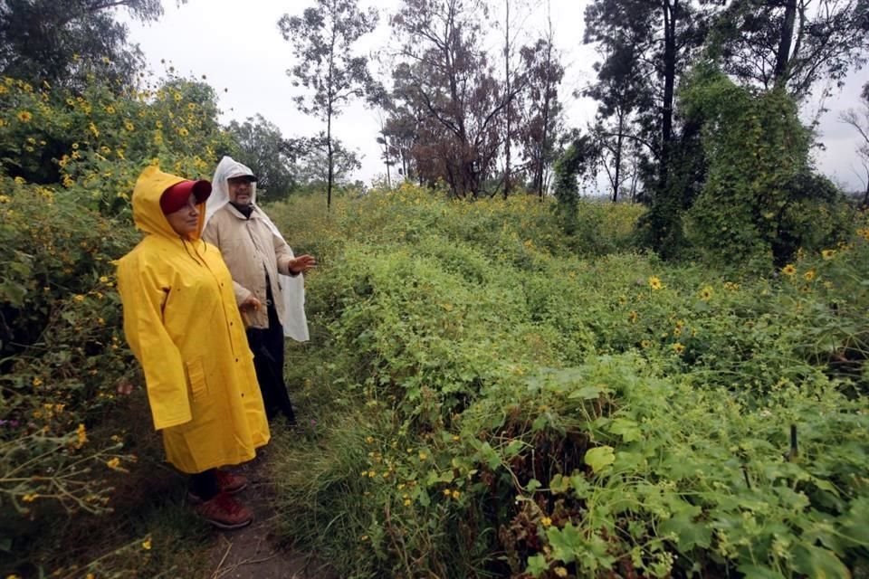 Integrantes del colectivo 'Colectivo Chaponeros de Lomas Estrella' muestran árboles y plantas que han logrado hacer crecer en un predio de su colonia.