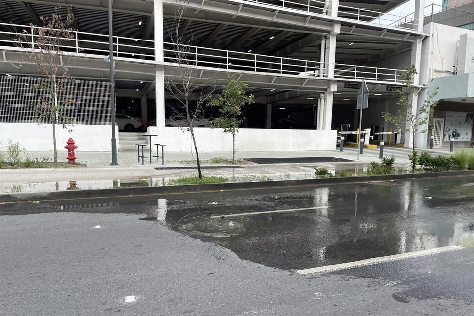 El tramo de la Avenida Ocampo que comprende de Juárez a Emilio Carranza se ve afectado por las aguas negras que salen de un registro de Agua y Drenaje.