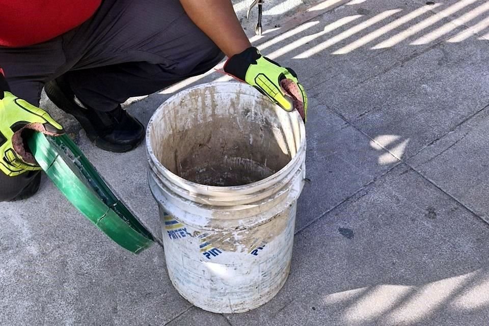 Protección Civil de Monterrey capturó a la víbora.