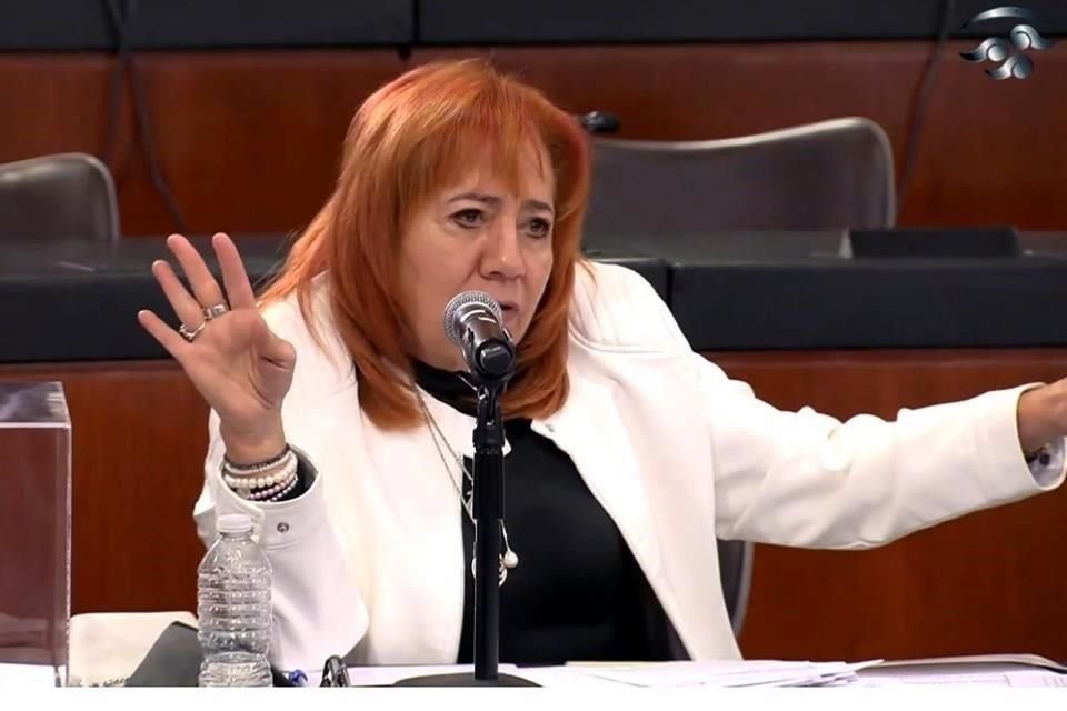 Rosario Piedra Ibarra encabeza la Comisión Nacional de Derechos Humanos (CNDH) desde noviembre de 2019.