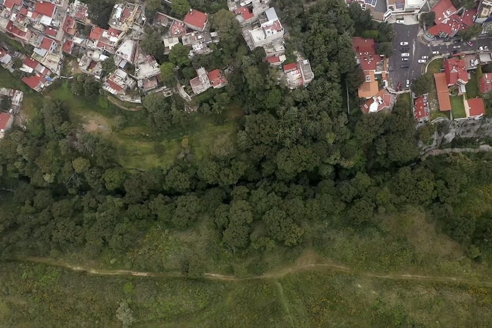 Aunque presionada por la mancha urbana, Tarango subsiste como uno de los recintos de la biodiversidad capitalina. 