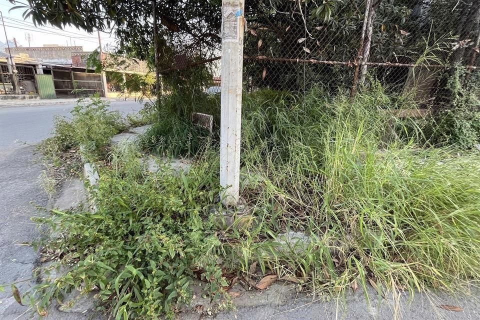 Vecinos alertaron que ese tipo de tiraderos pueden convertirse en 'nidos' que generen la propagación del dengue.