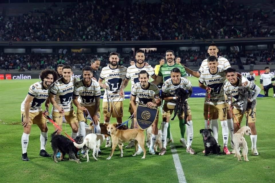 Los Pumas hicieron una campaña de adopción antes del partido.