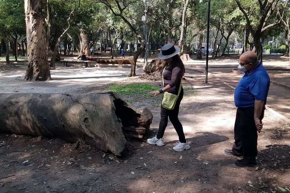 Vecinos acusan que los árboles fueron tratados contra plagas, aunque sin éxito. 