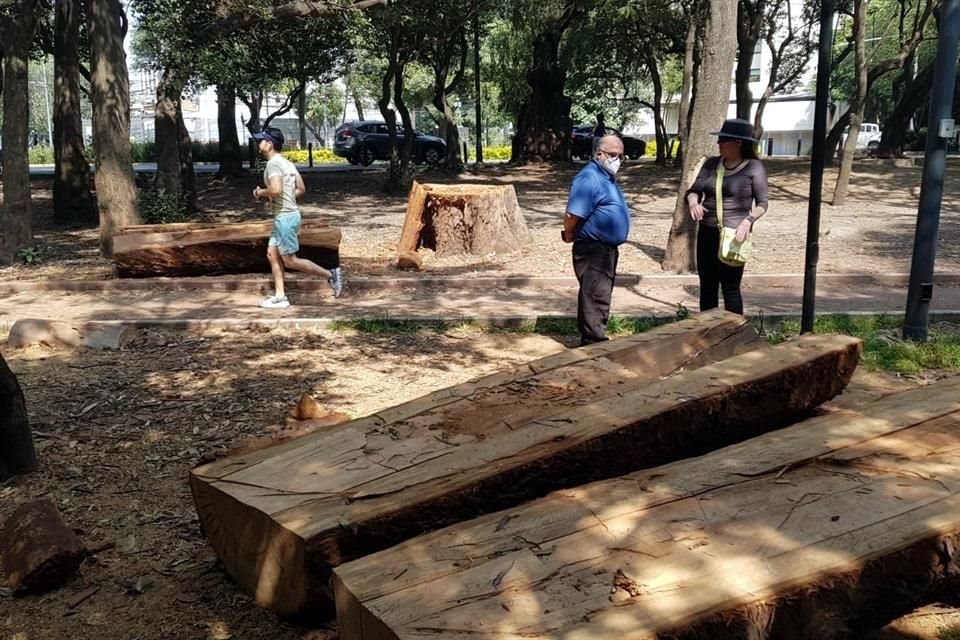 BANCAS DEL ÁRBOL CAÍDO. El tronco de un eucalipto fue convertido en parte del mobiliario.