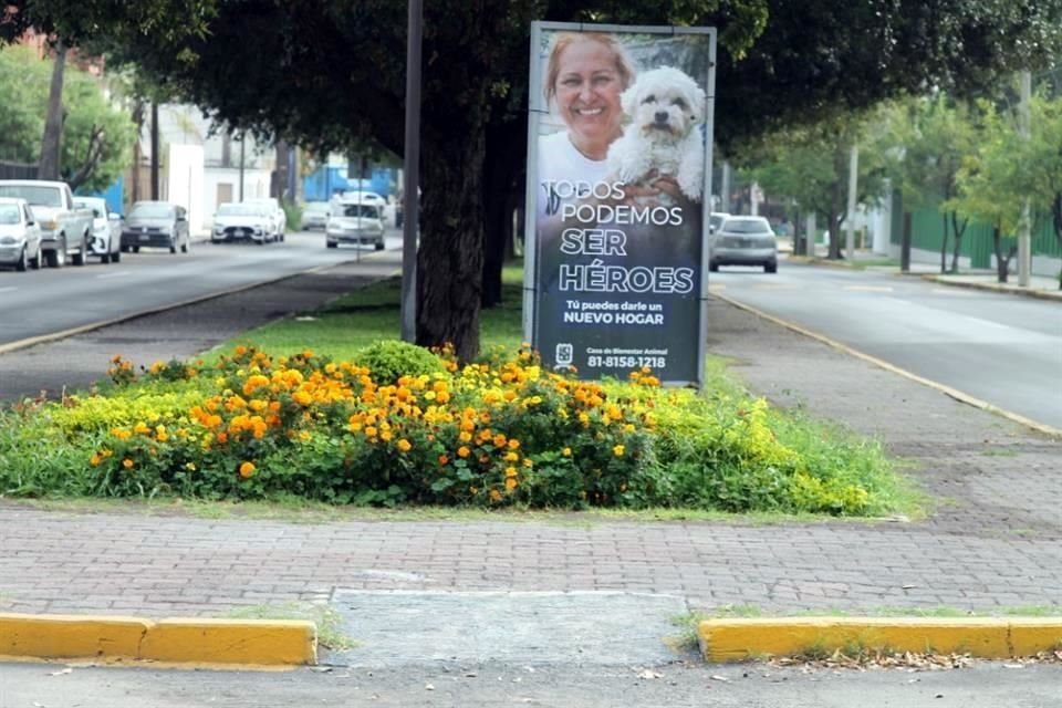 Las rampas de acceso en varios camellones lucen despintadas y con agrietamientos.